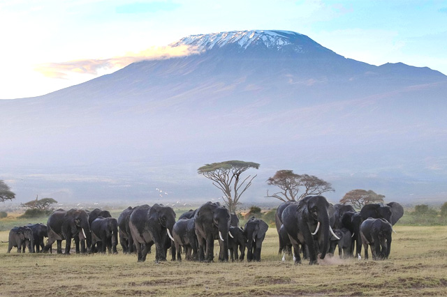 Amboseli-National-Park