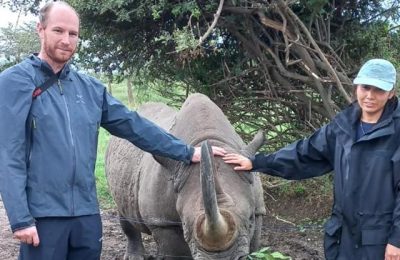 1 day Ol Pejeta Conservancy Safari